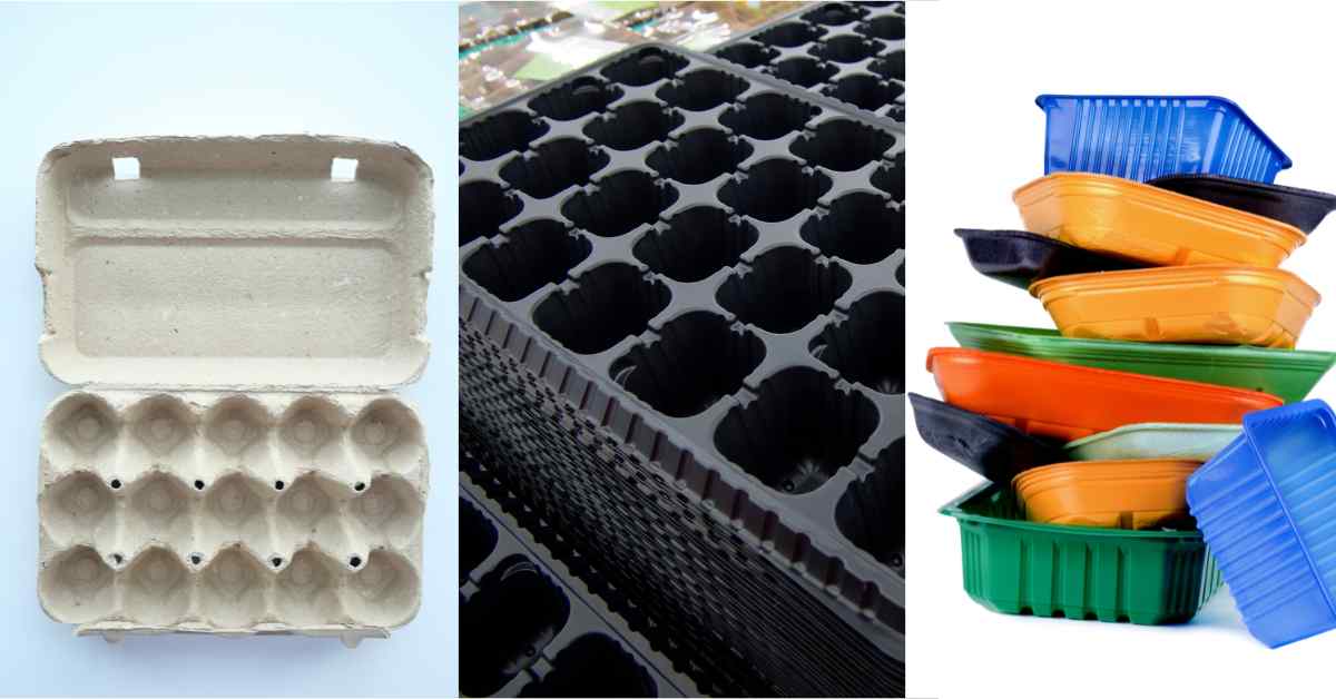 Three images of possible containers for chitting potatoes - egg boxes, module trays and old food containers, as part of an article about getting kids involved in chitting potatoes.