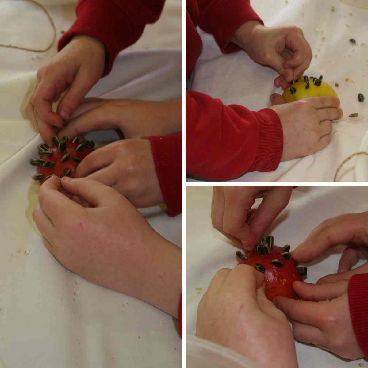 Three images in a grid, of children’s hands pressing pumpkin seeds into some halved apples on a table, as part of a blog about different ways to make bird feeders with kids
