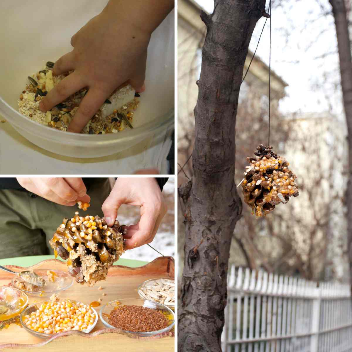 Three images in a grid of pine cone bird feeders, one shows hands mixing fat and seeds together, one shows hands pressing the mixture into the crevices in a pine cone, and one shows the finished pine cone feeder hanging off a tree by string. This is part of a blog about different ways to make bird feeders with kids