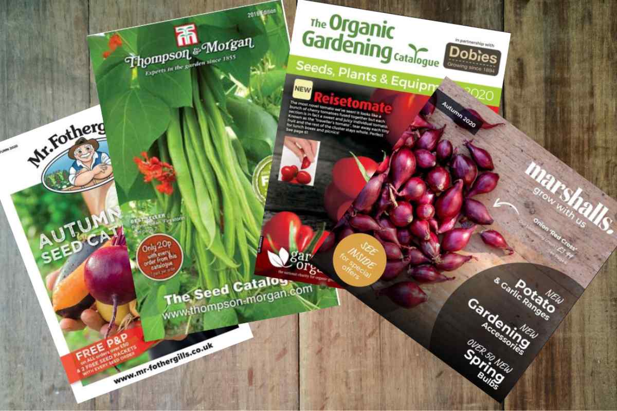 Image of four garden seed catalogues from different companies, this is part of a blog about ordering seeds with kids