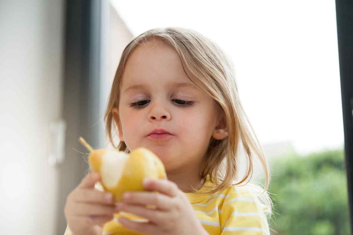 Image of a girl staring intently at a pear which she has taken a big bite from, this is part of a blog about making pear and coconut milkshake with kids