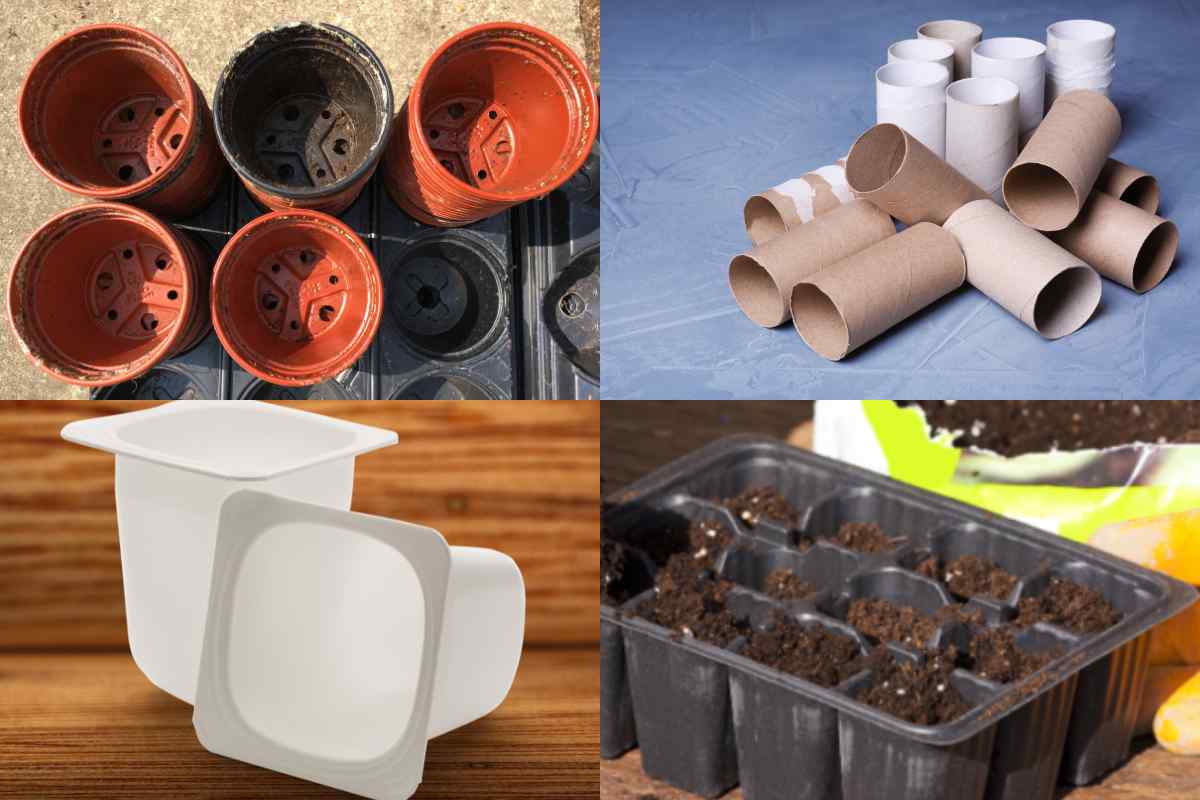 Four images of containers – some plant pots, toilet roll middles, yoghurt pots and module tray, this is part of a blog about sowing broad beans with kids