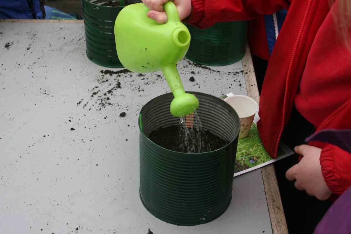 Image of a child using a little green plastic watering can to pour water over a pot filled with compost, this is part of a blog about sowing broad beans with kids