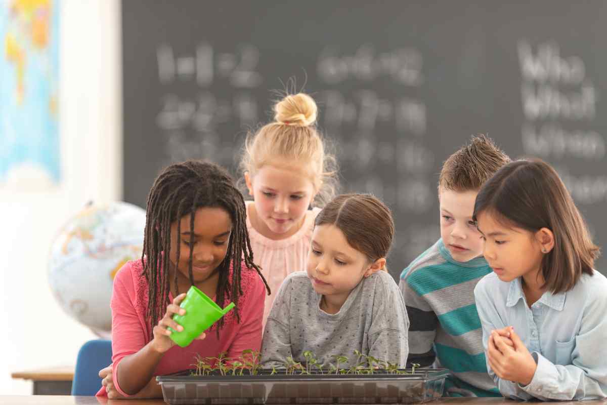 Image of a mixed group of children in a classroom watering some seedlings, as part of a blog about watering plants with children