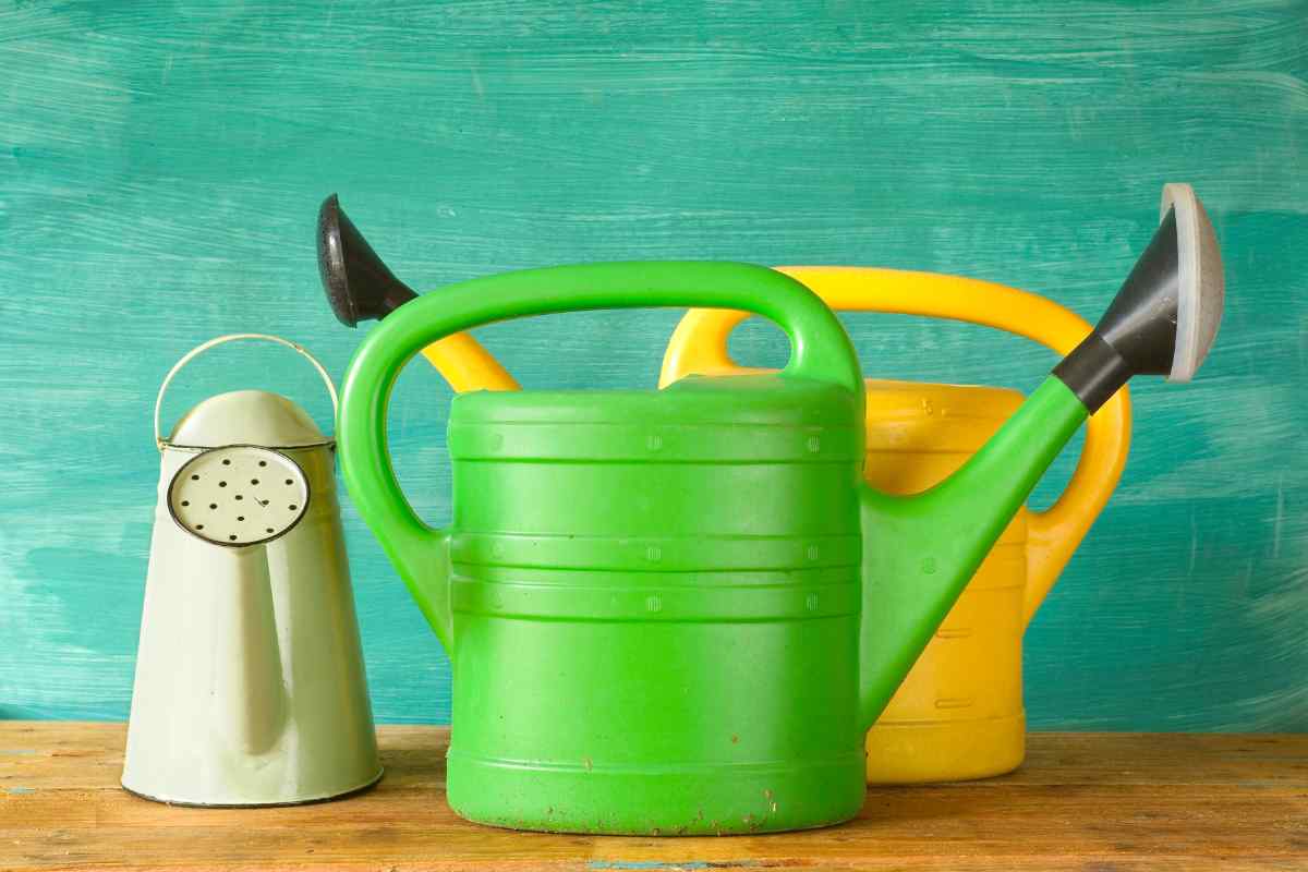 Image of three different sized watering cans, as part of a blog about watering plants with children